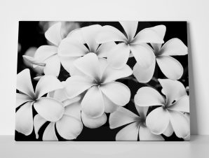Πίνακας BLACK AND WHITE FLOWERS