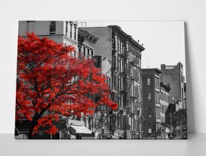 Πίνακας σε καμβά MANHATTAN RED TREE
