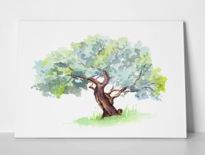 Πίνακας OLIVE TREE WATERCOLOR
