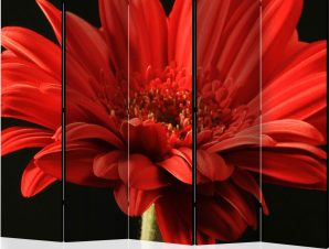 Διαχωριστικό με 5 τμήματα – Red gerbera flower II [Room Dividers]