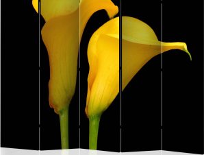 Διαχωριστικό με 5 τμήματα – Two yellow calla flowers on a black background II [Room Dividers]