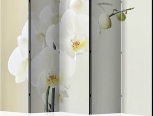 Διαχωριστικό με 5 τμήματα – White orchid II [Room Dividers]