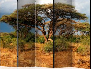 Διαχωριστικό με 5 τμήματα – Samburu National Reserve, Kenya II [Room Dividers]