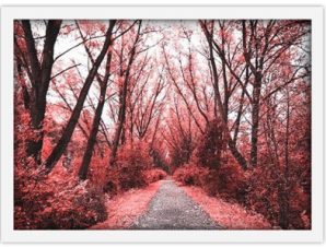 Κοκκινο δάσος, Φύση, Πίνακες σε καμβά, 30 x 20 εκ.