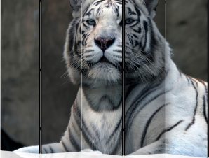 Διαχωριστικό με 5 τμήματα – Bengali tiger in zoo II [Room Dividers]