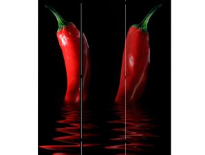 Διαχωριστικό με 3 τμήματα – Chili pepper [Room Dividers]